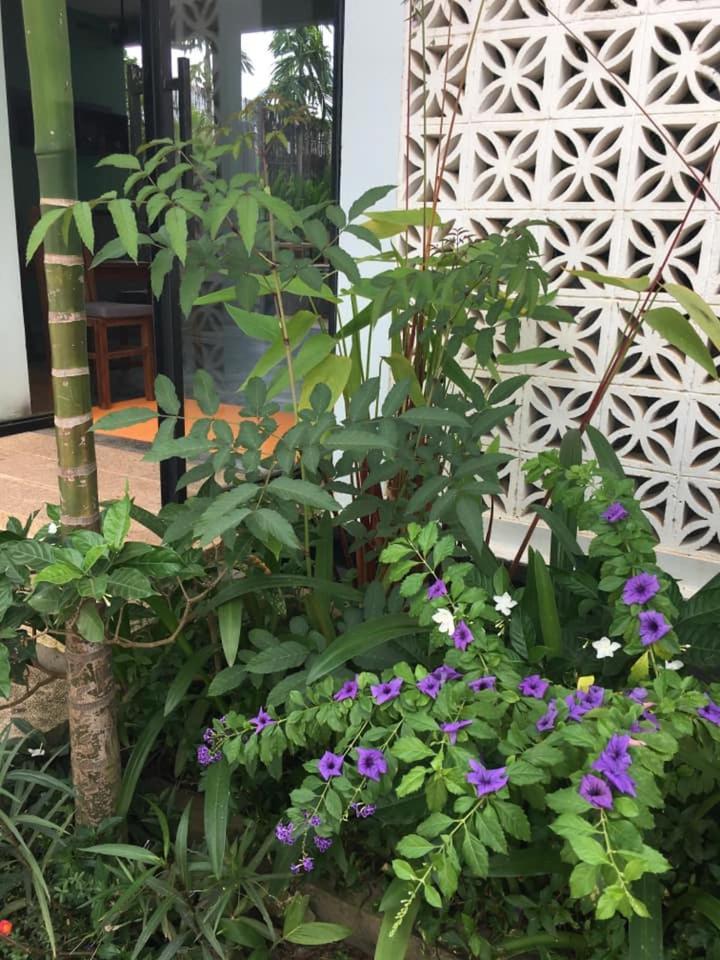 Hotel D'orange Siem Reap