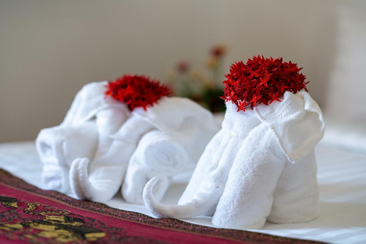 Royal Sok Chhan Guest house Siem Reap