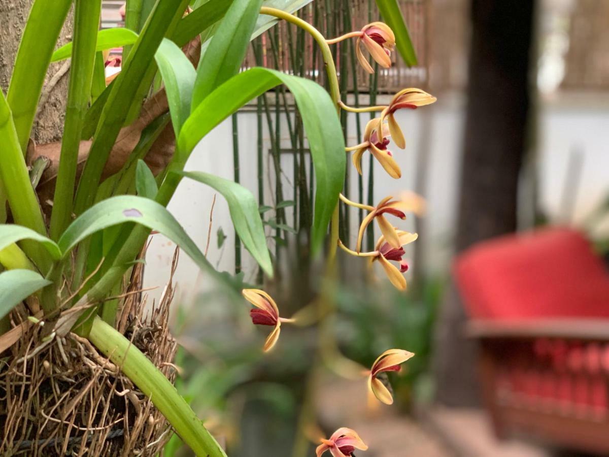 Petit Boutique & Siem Reap