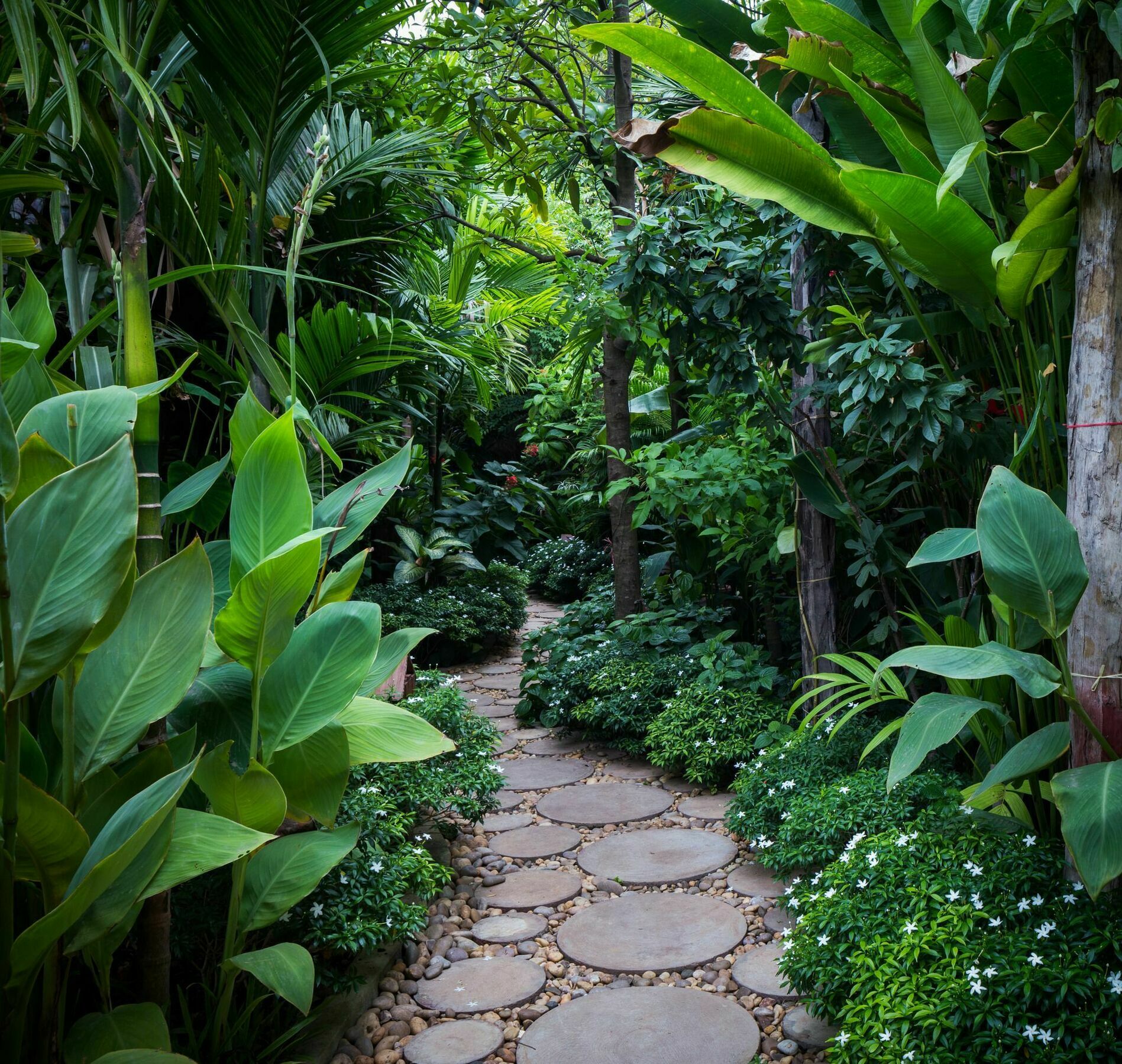 Malu Khmer Hotel