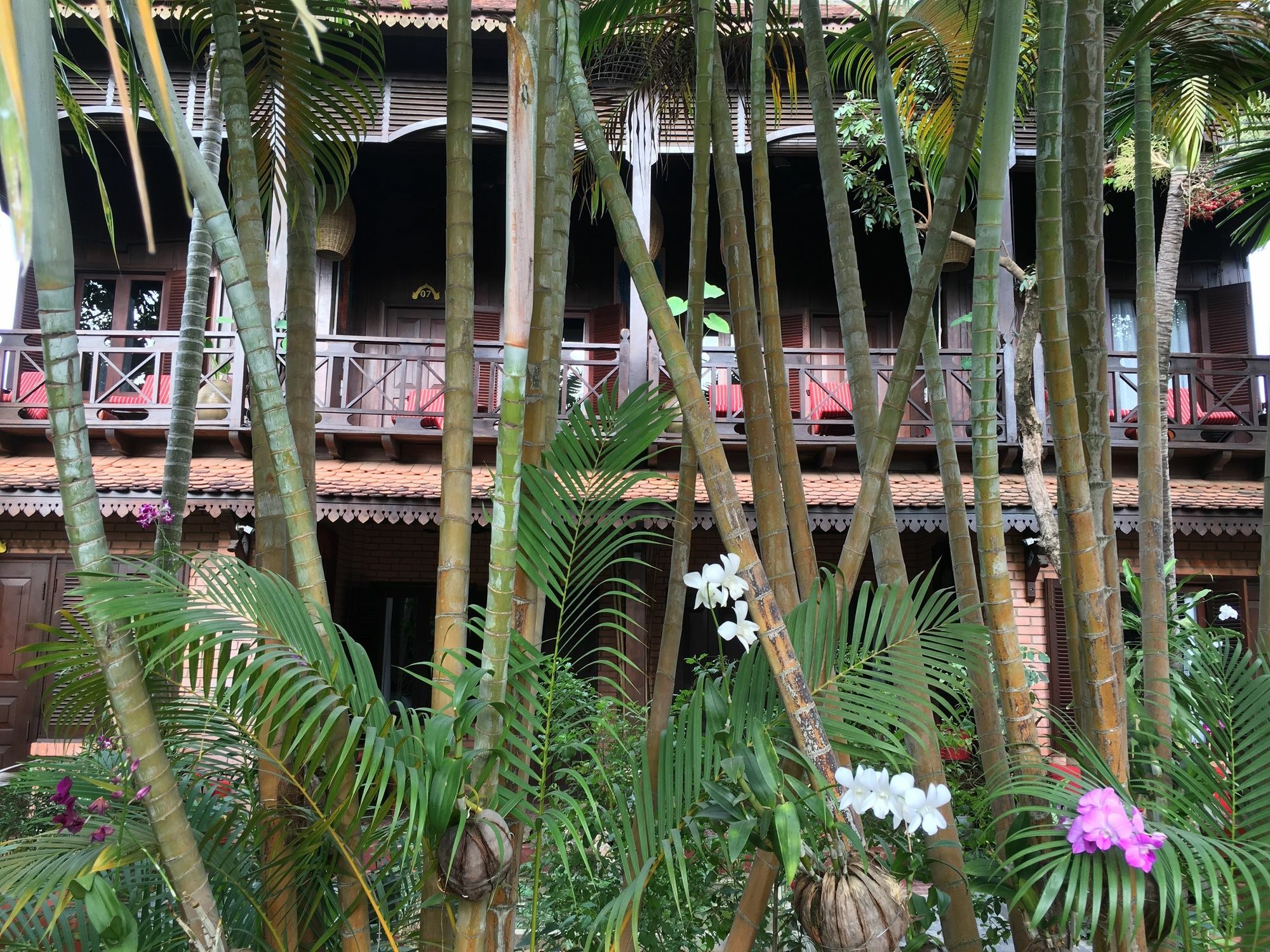 La Loti Siem Reap