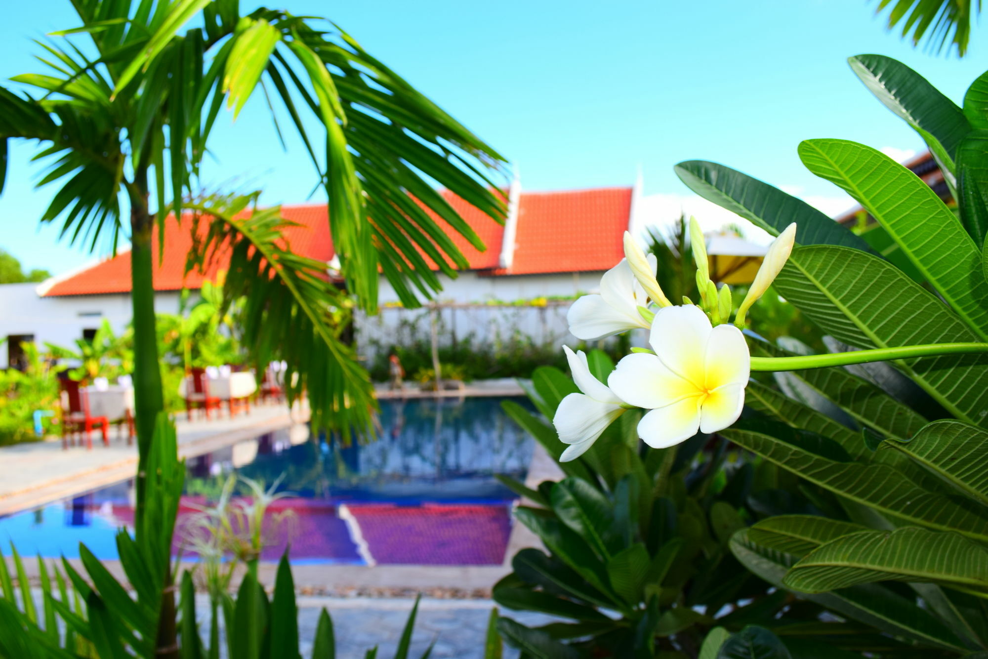 Holiday park Angkor Countryside Boutique