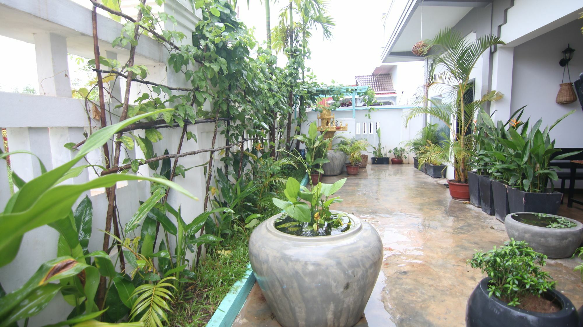 Hotel Chan Angkor Boutique
