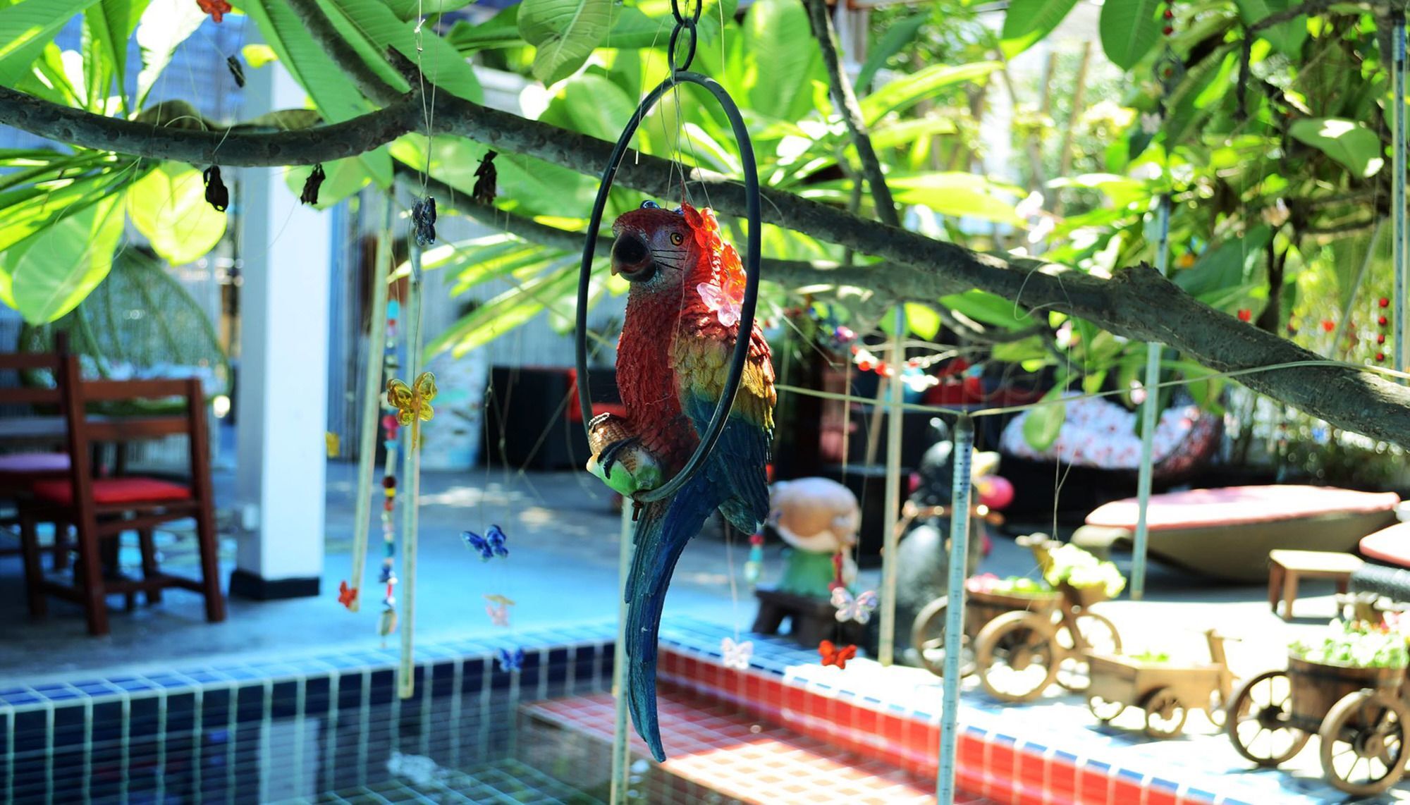 White Rabbit (adults Only) * Siem Reap
