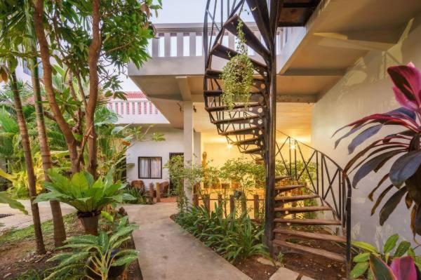Angkor Magic Tree Boutique Hotel