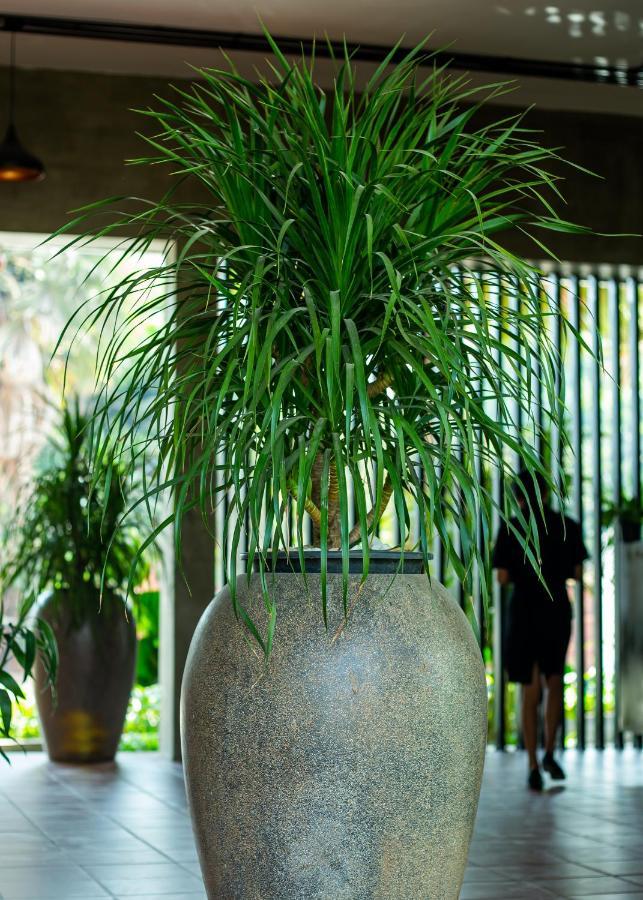 Resort Pm Angkor Siem Reap