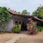 The Purple House