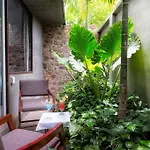 The Calm Oasis