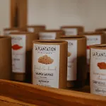 La Bastide De Caro