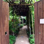 Blue Indigo Yoga Retreat