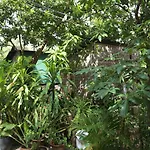 Panhanita Apartment And Villa