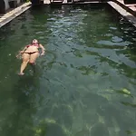 Angkor Pal Boutique Hotel