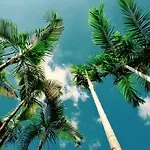 Tonle Tropic Boutique Hotel