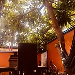 Plant Planet