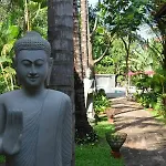 Dream Garden