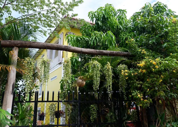 Homestay Yellow Natural House