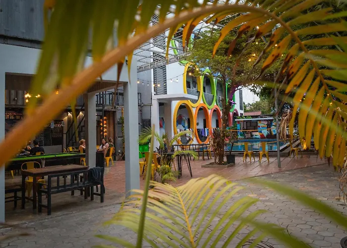 White Rabbit Hostel