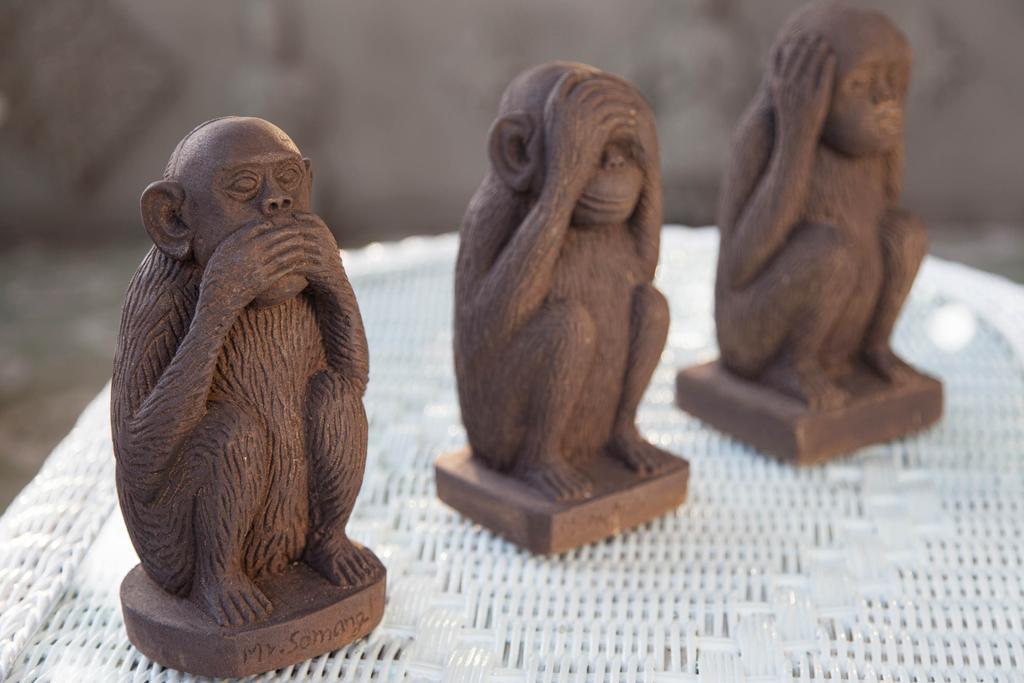 3 Monkeys Villa Residence Villa *