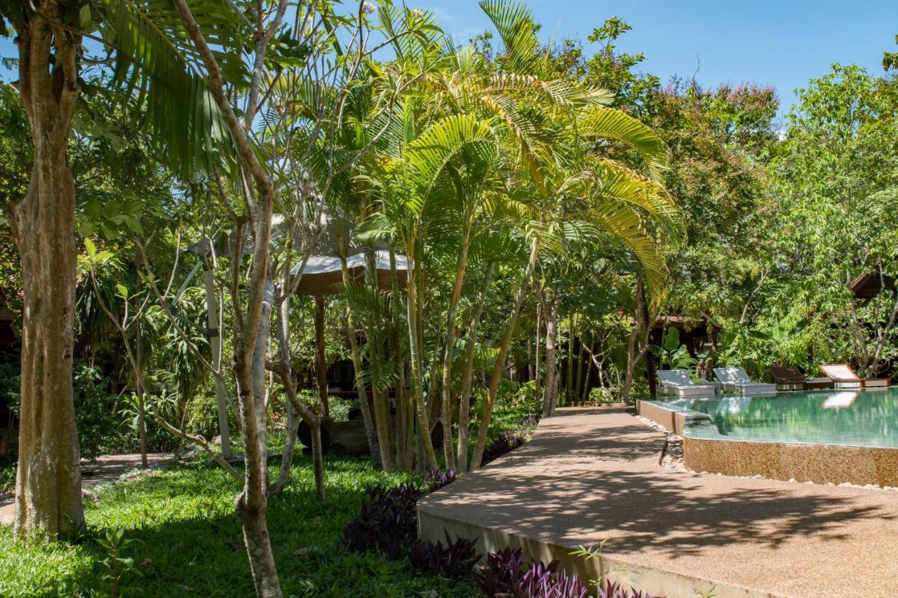 Palm Village &
