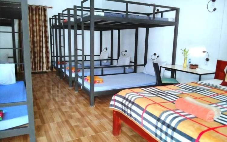Albergue 333