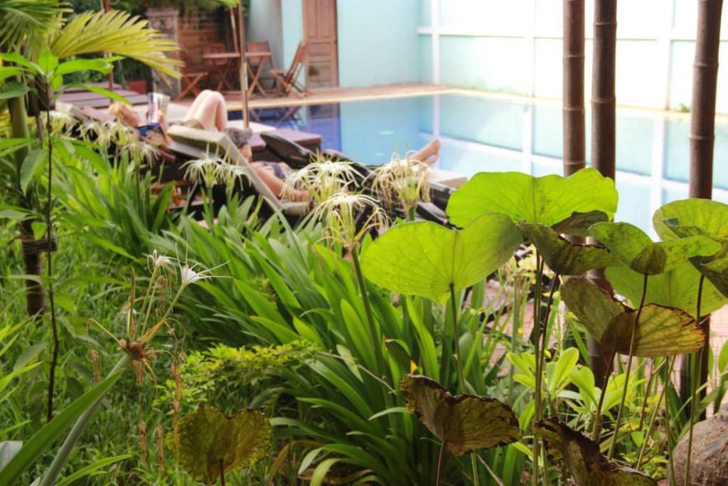 Jasmine Family Bed & Breakfast 2*