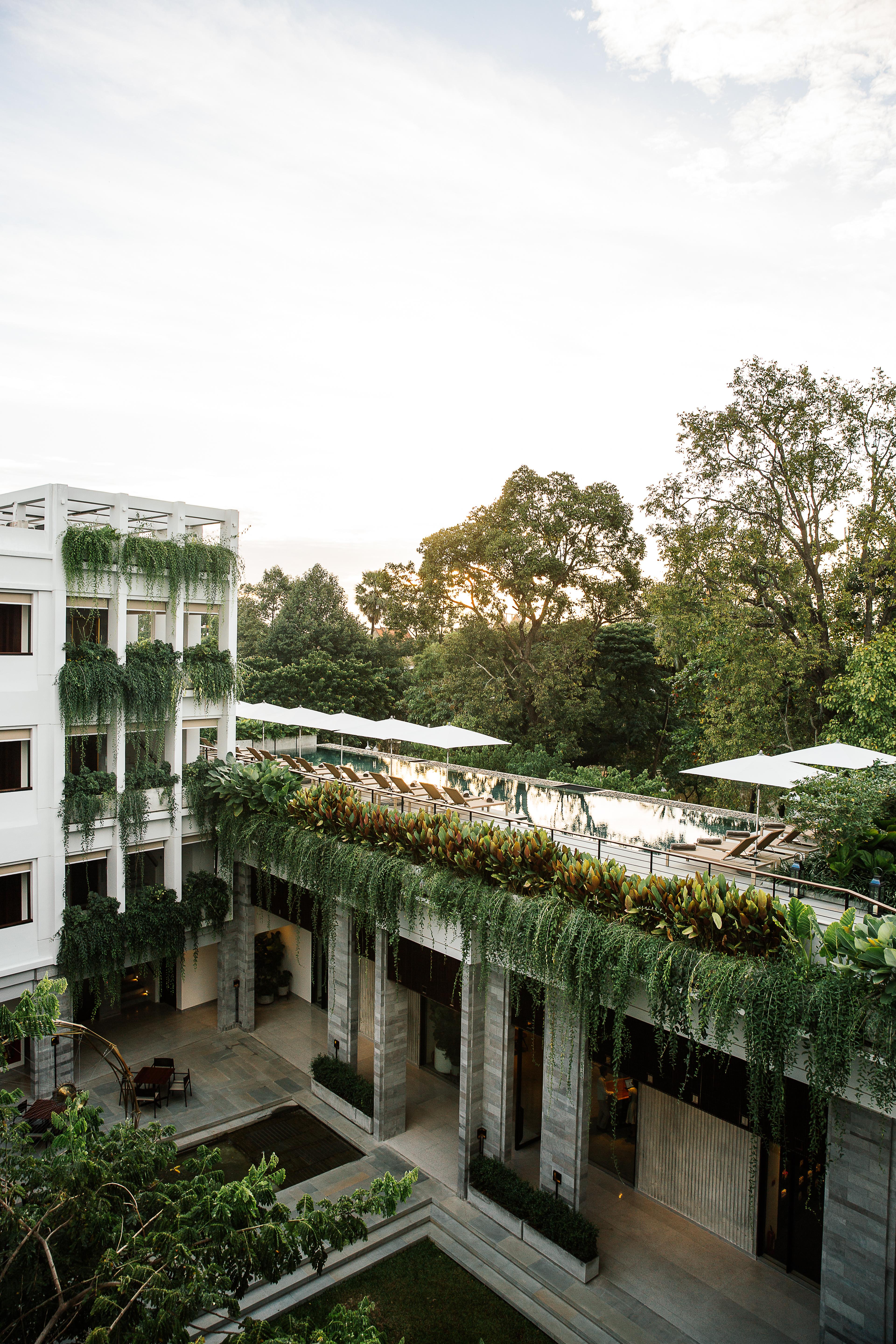 Treeline Urban Siem Reap