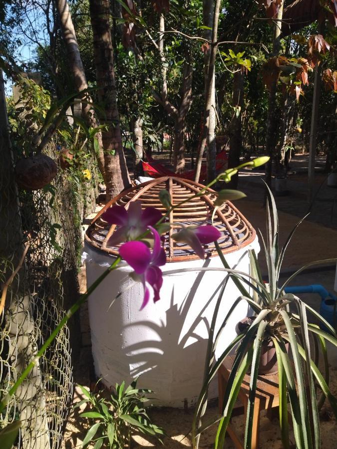 La Maison Des Bambous Bed & Breakfast 2*