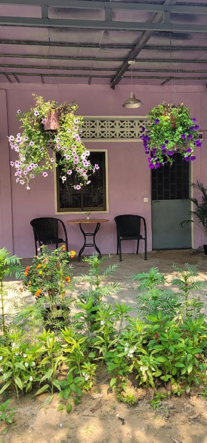 Homestay The Purple House *