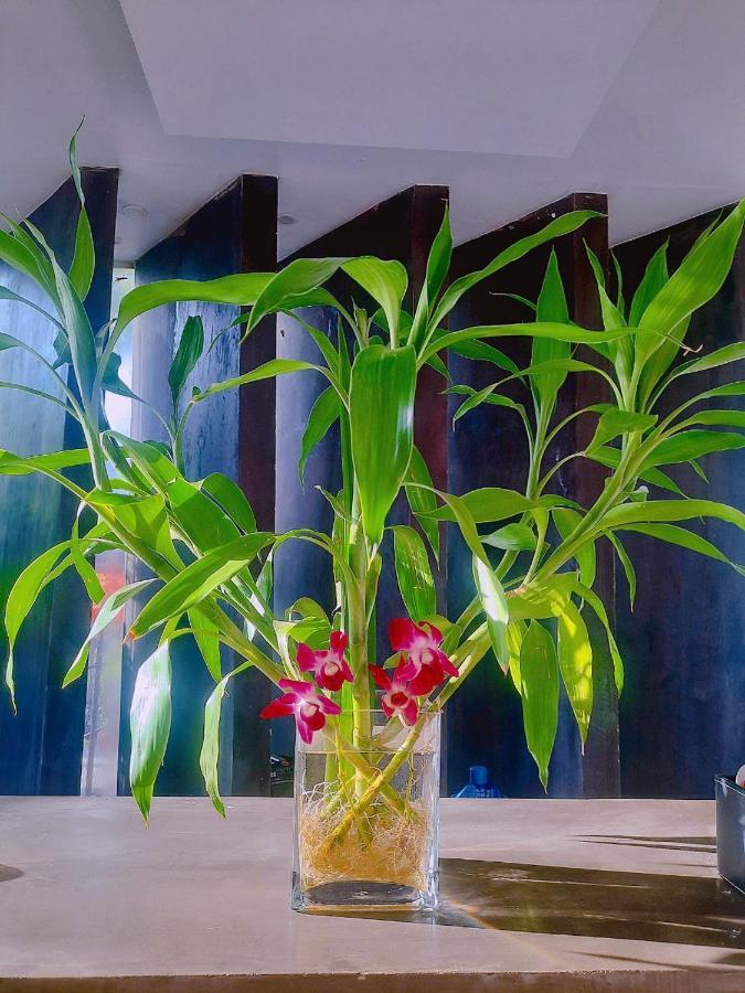 Guest house Angkor Legacy Boutique