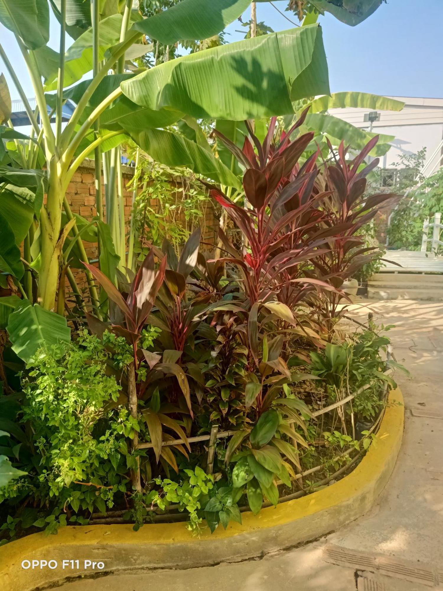 Yellow Natural House Hospedagem domiciliar