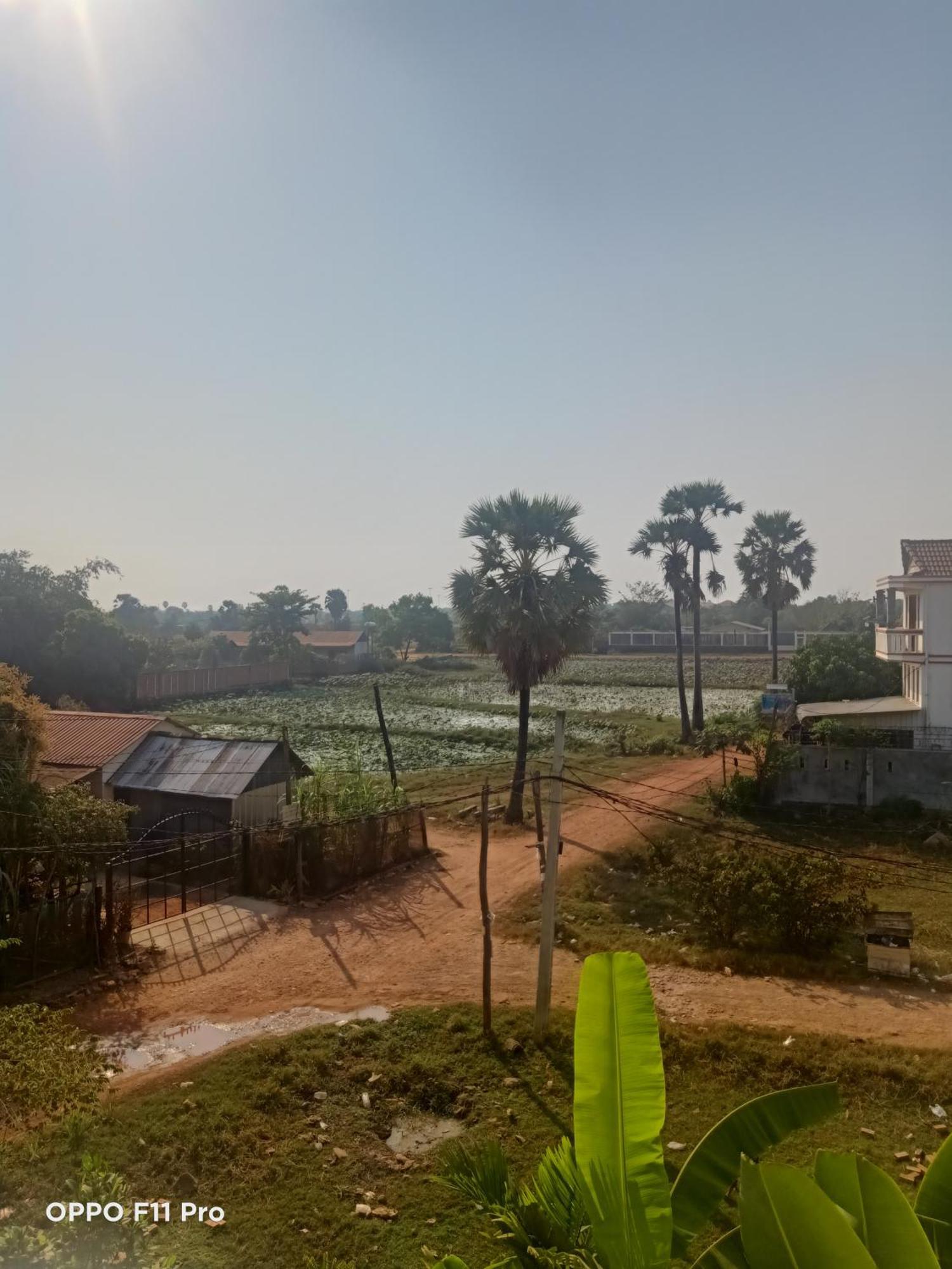 Yellow Natural House Hospedagem domiciliar Siem Reap