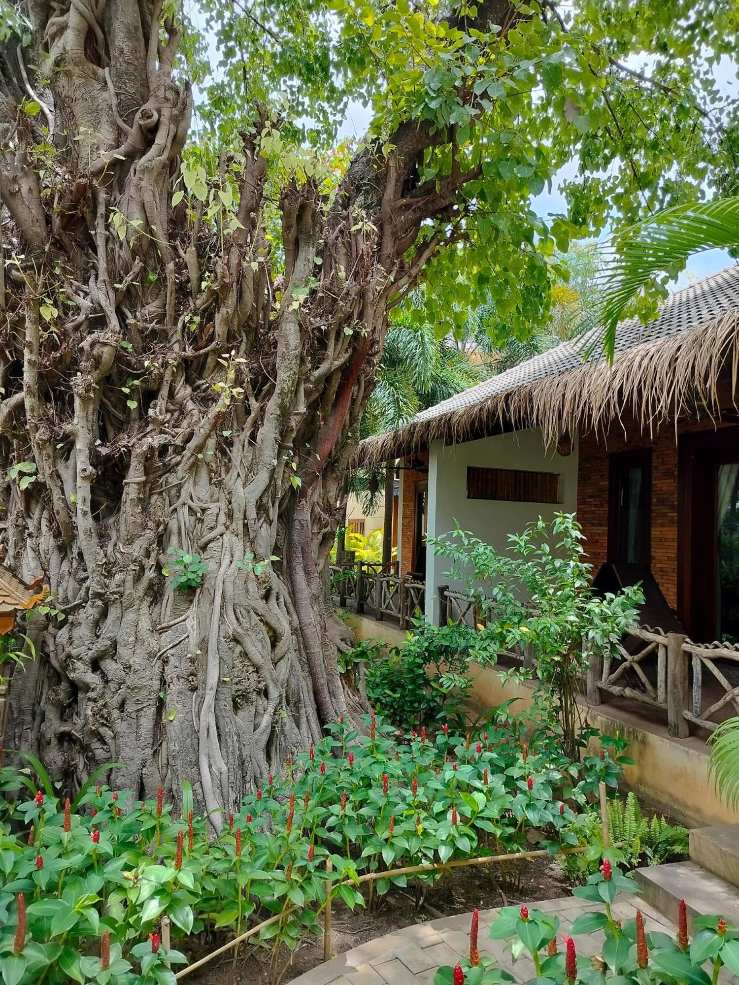 La Riviere D' Angkor