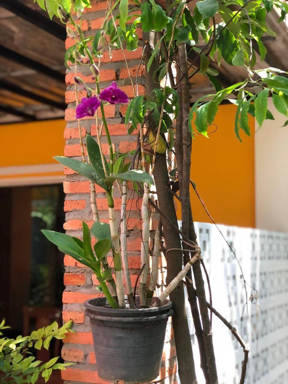 Hotel Boyada Siem Reap