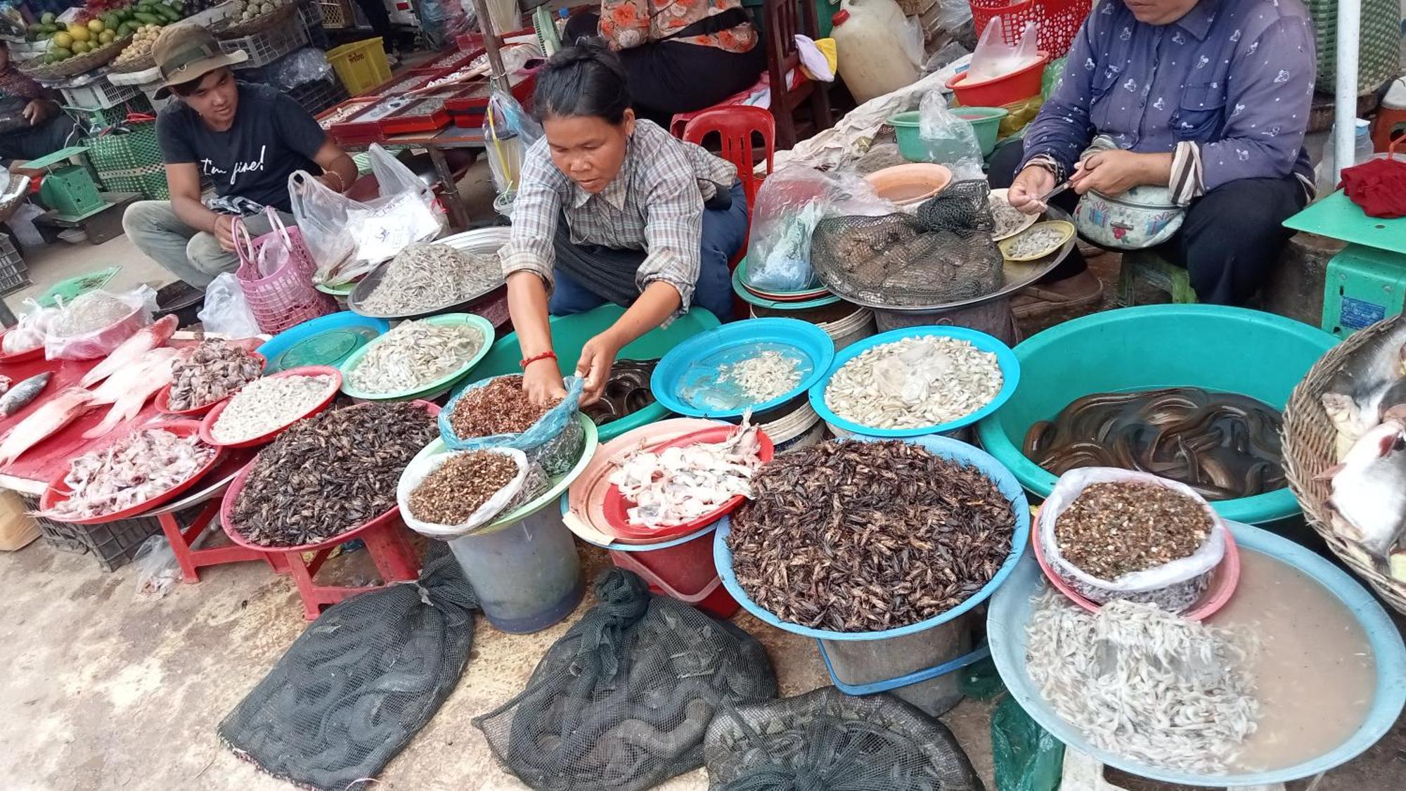 Kakrona Pouk Ở trọ *