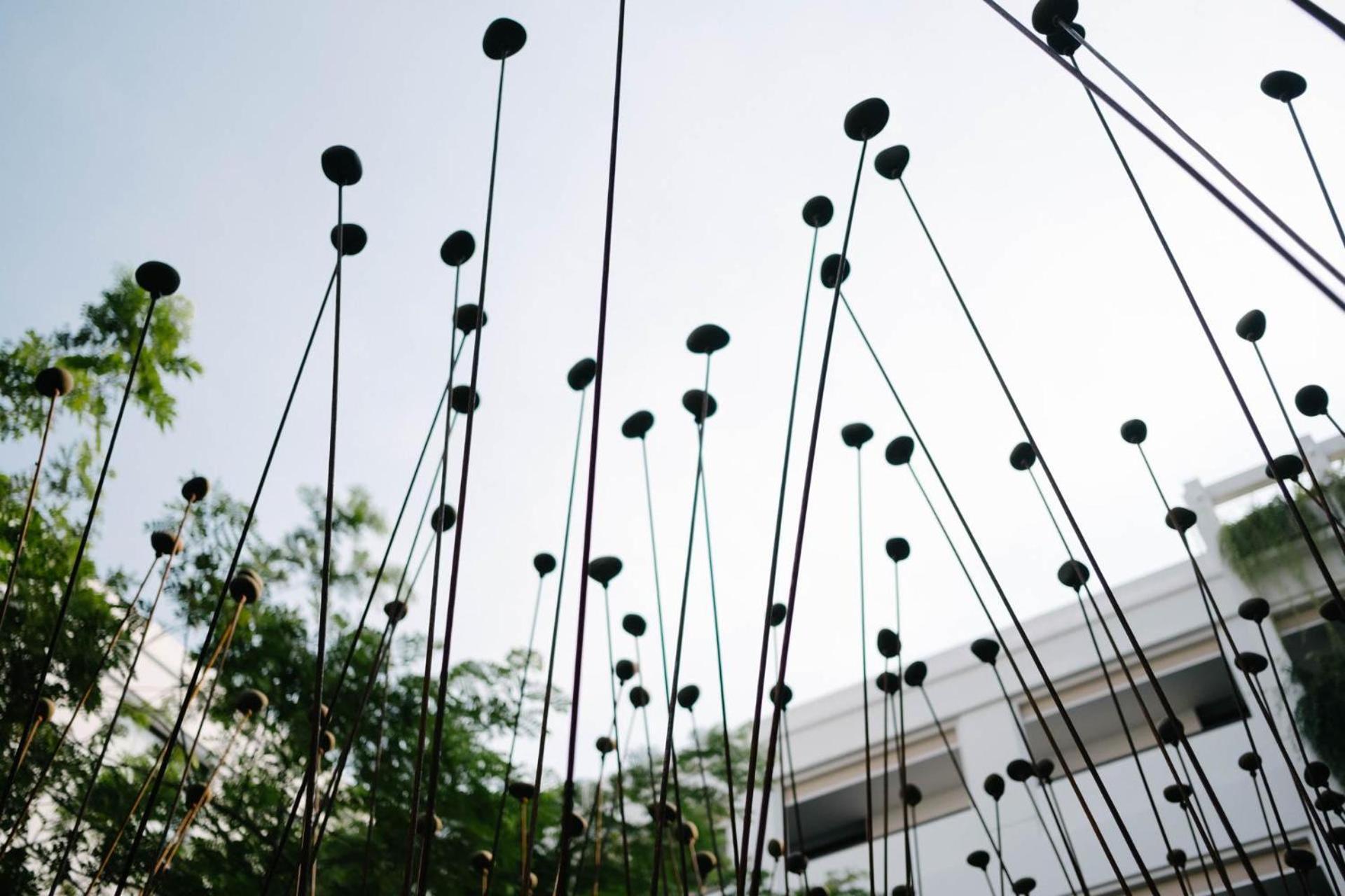 Treeline Urban 5* Siem Reap
