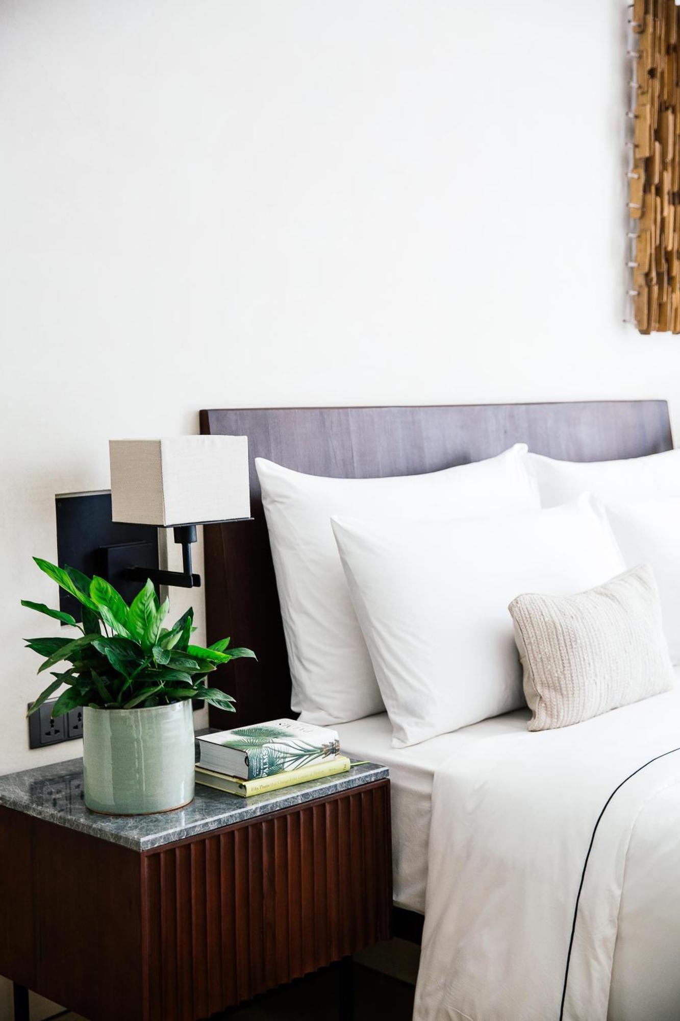 Treeline Urban Hotel