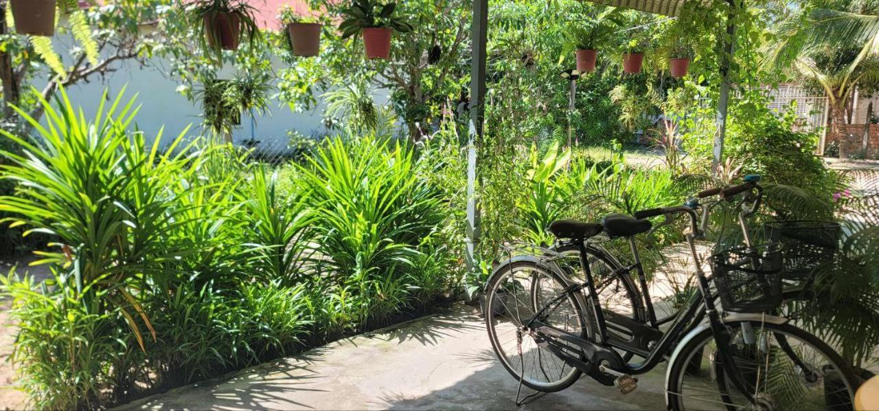 The Purple House Siem Reap