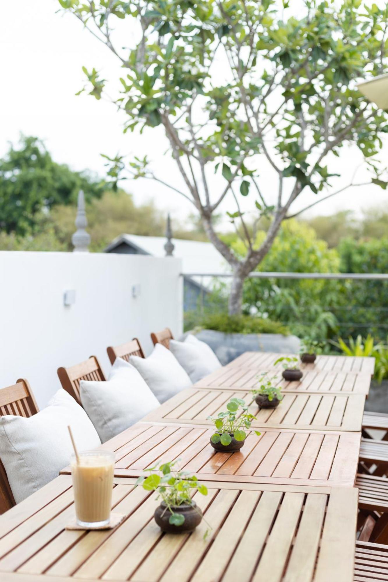 Moringa Tree Maison 5*
