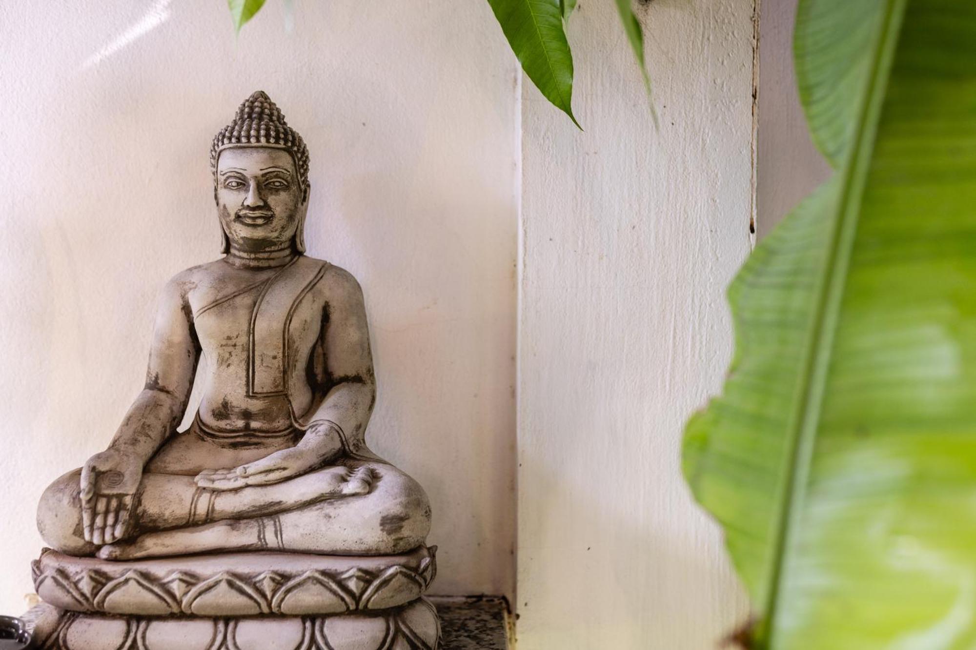 Hotel Moringa Tree Maison Siem Reap