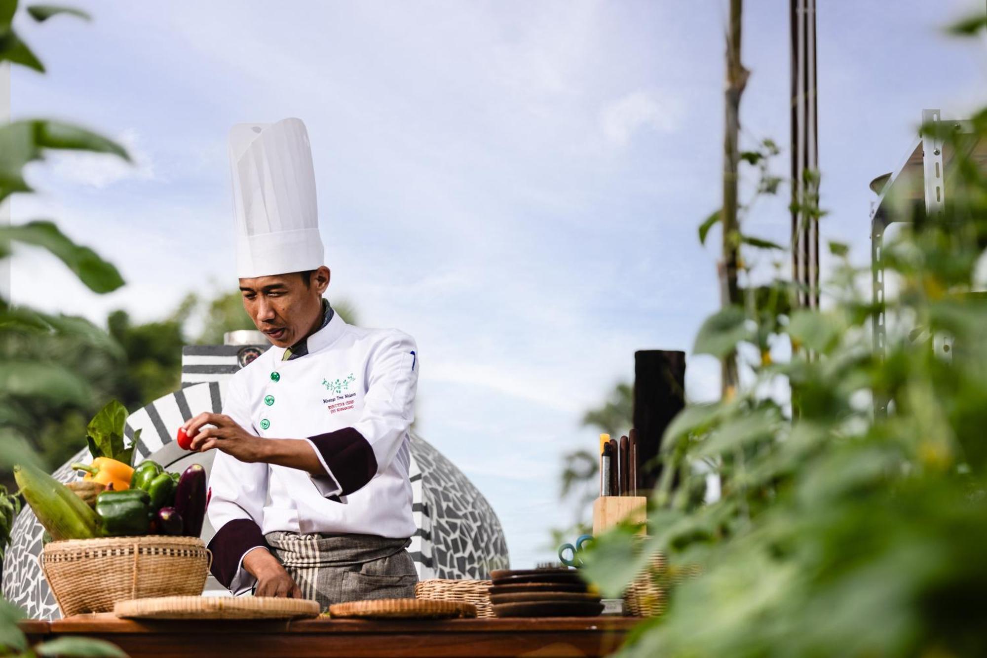 Moringa Tree Maison 5*