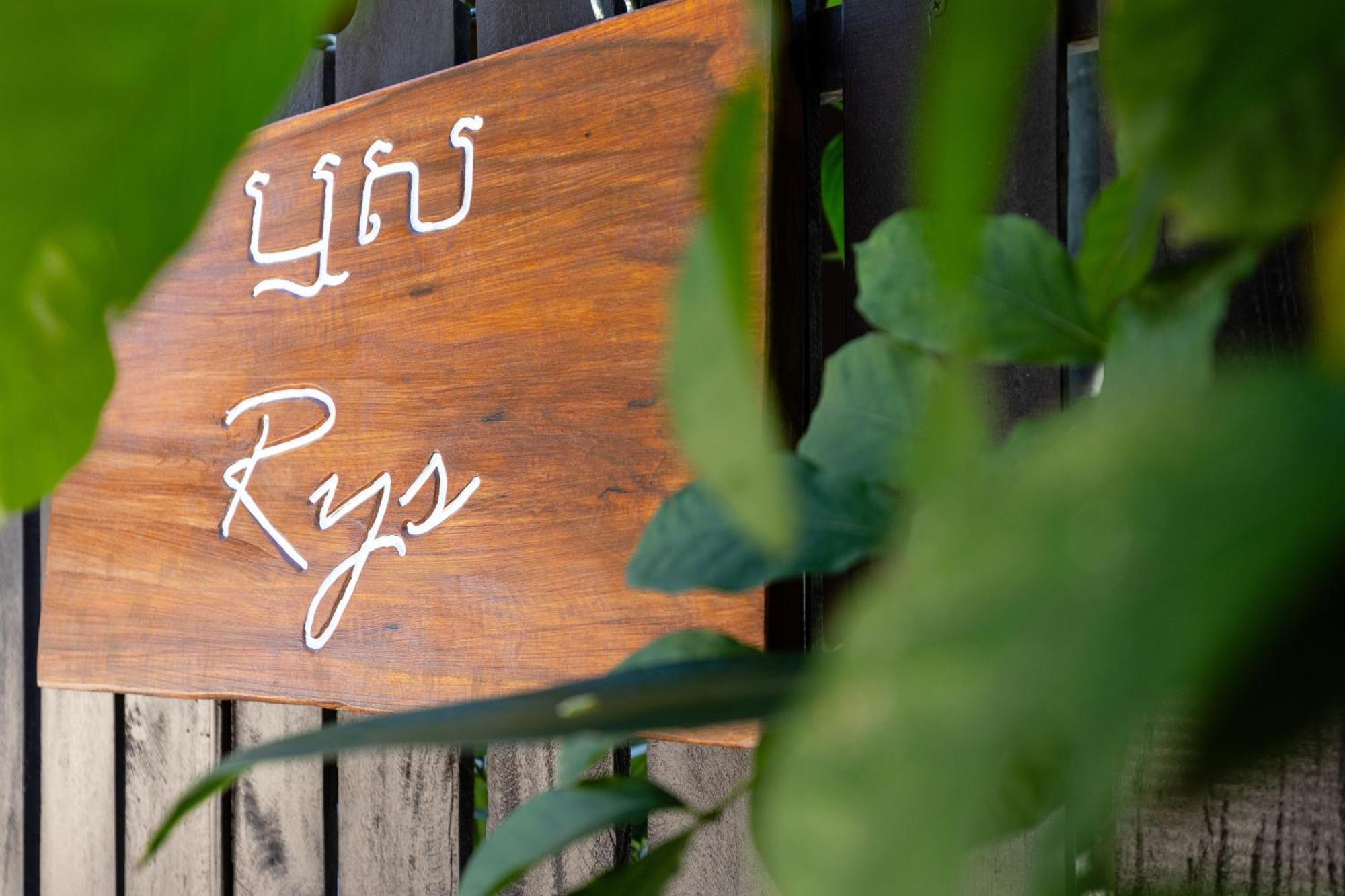 Moringa Tree Maison Siem Reap