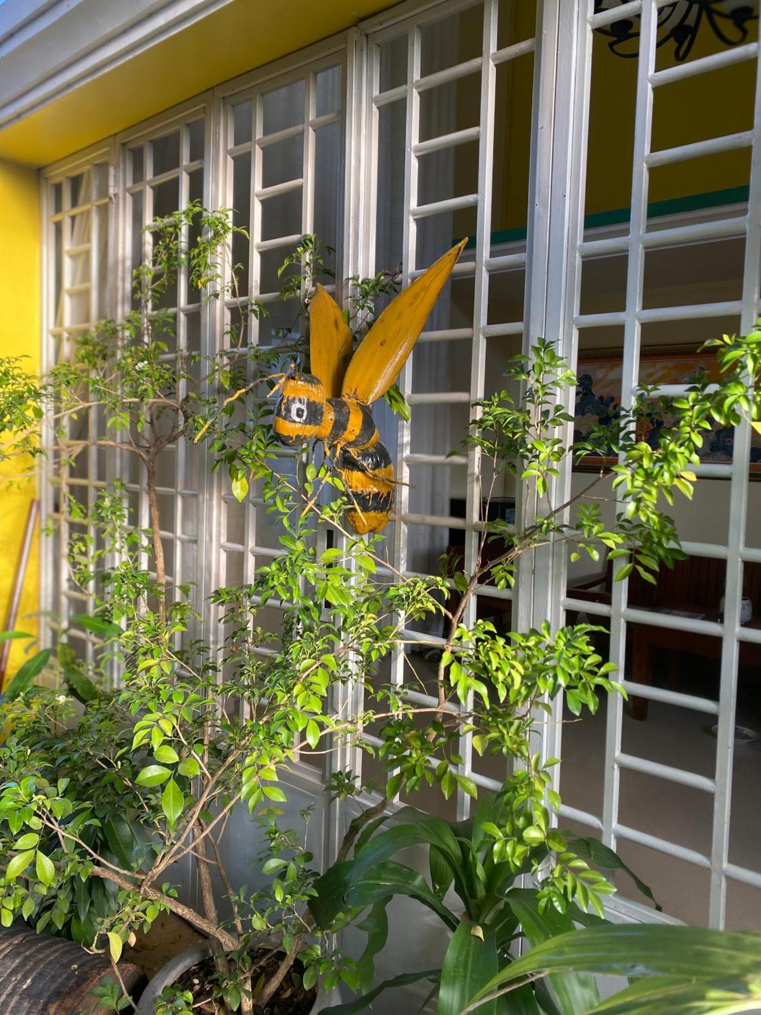Yellow Natural House Hospedagem domiciliar *
