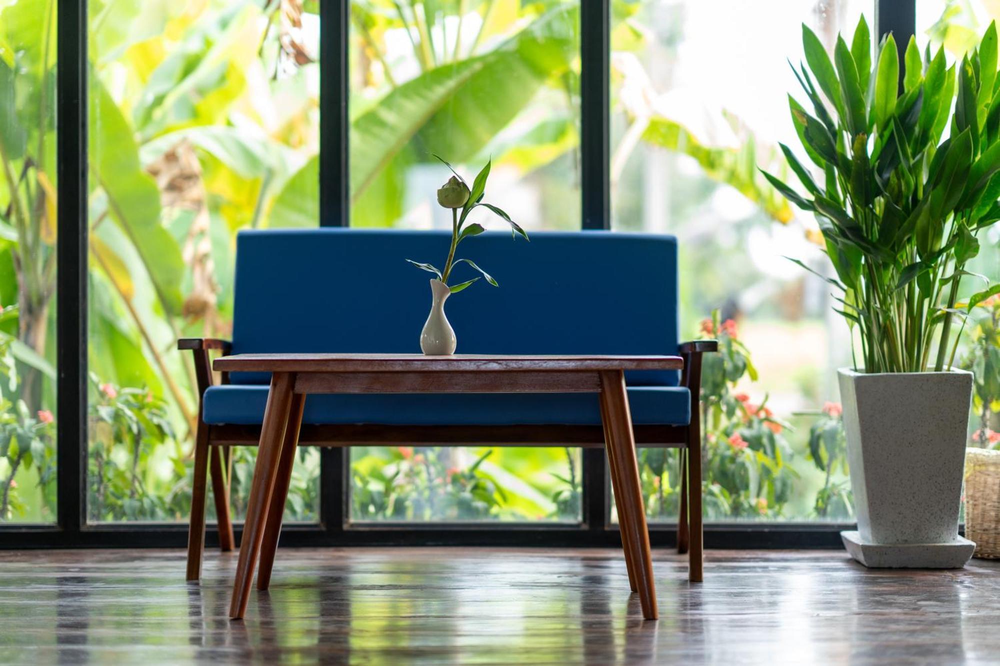 Guest house Damnak Phnom Krom