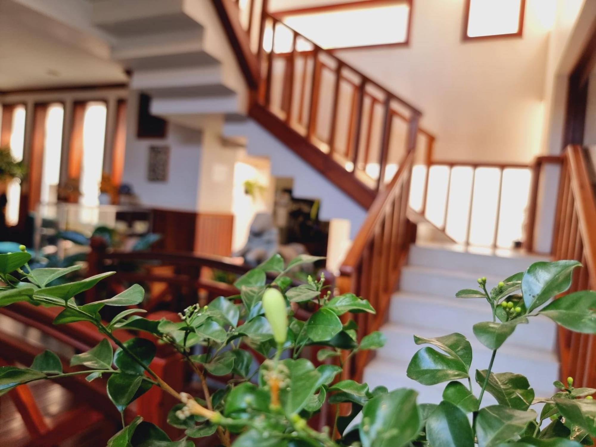 Vid Angkor Boutique Hotel
