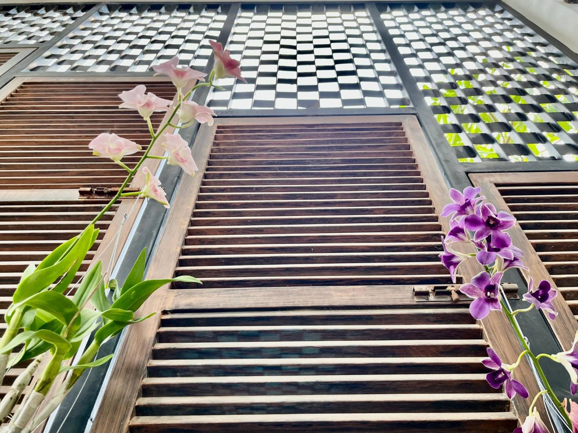 Apartment Canopy Family Siem Reap