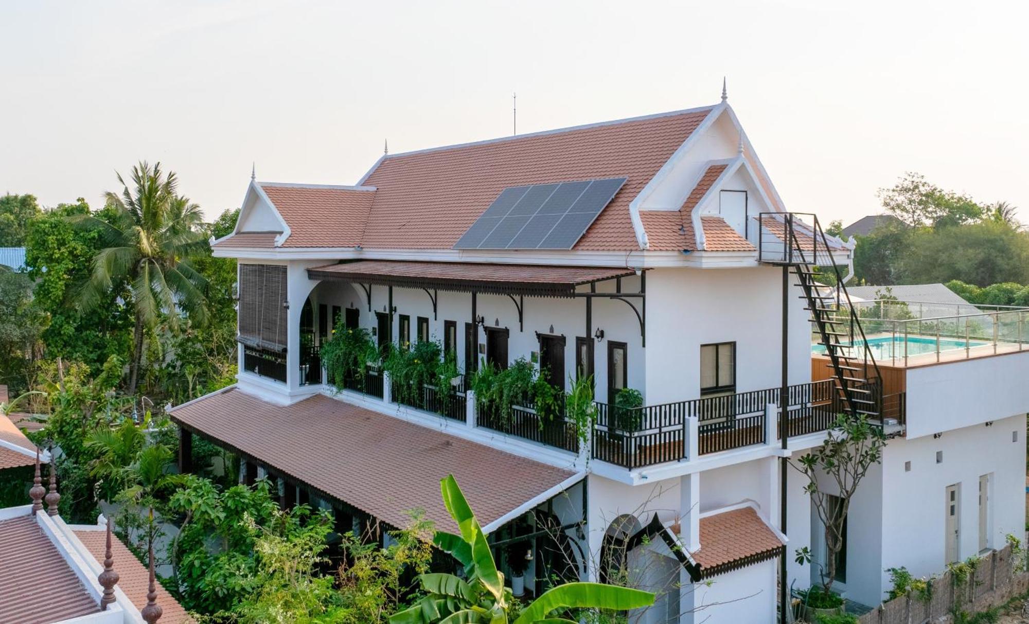 Moringa Tree Maison Siem Reap