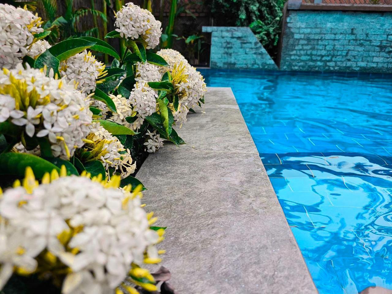 Angkor Legacy Boutique Guest house *