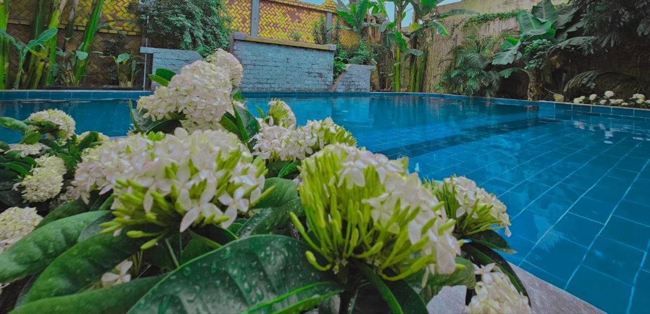 Angkor Legacy Boutique Guest house *