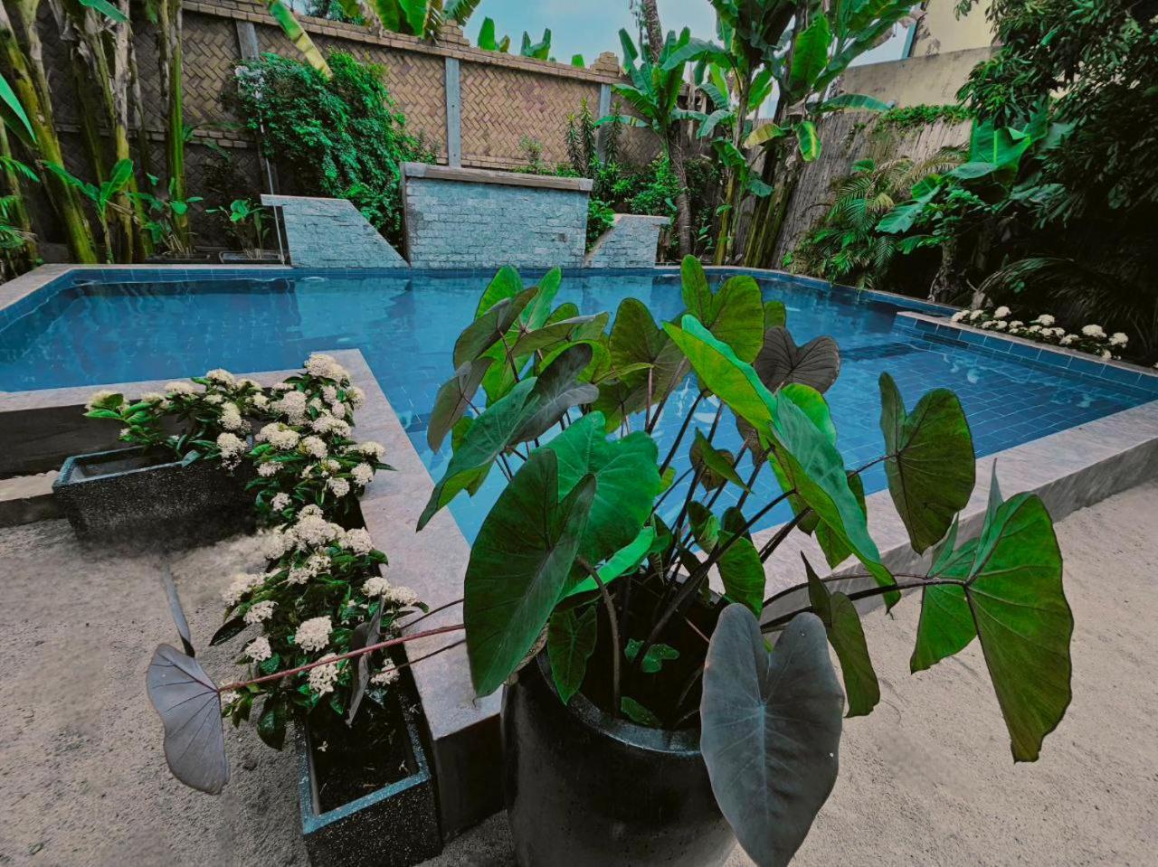 Guest house Angkor Legacy Boutique Siem Reap