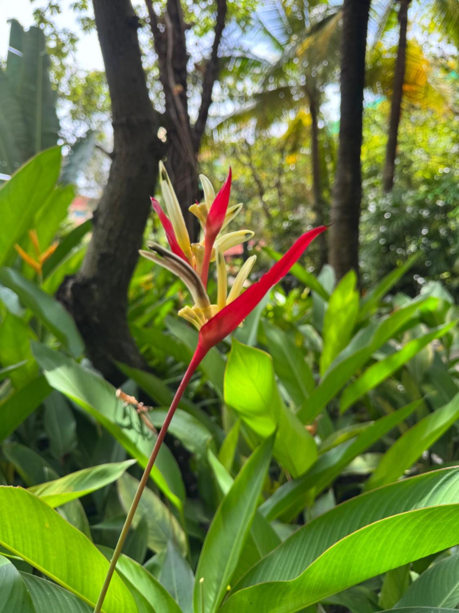 Somadevi Angkor & Hotel 5*